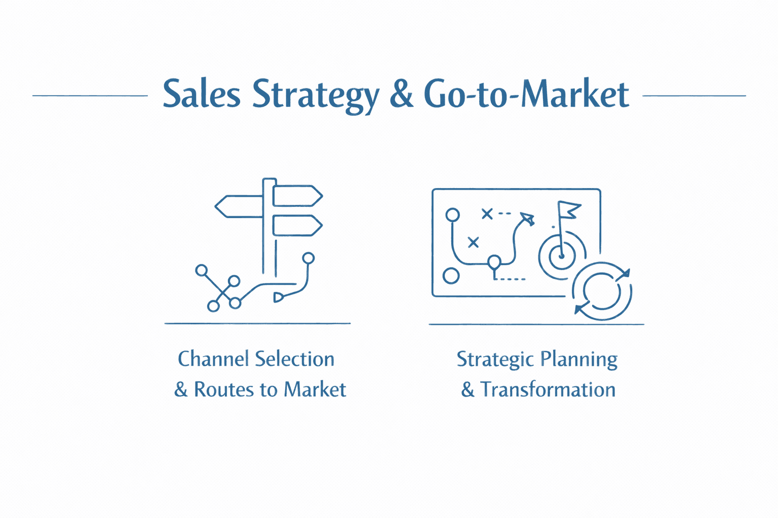 Sales strategy and go-to-market